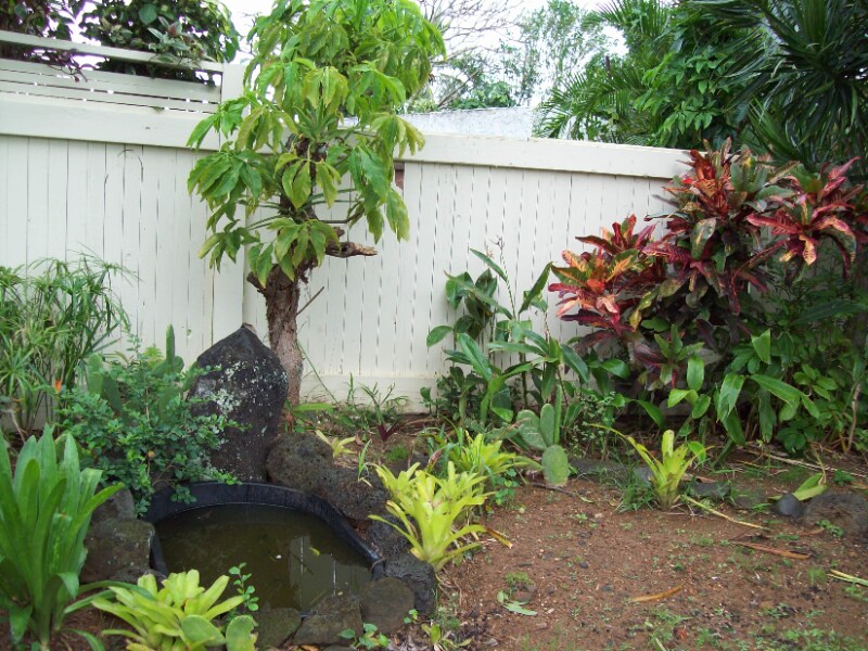 96734 Hoolea Pl, Kailua, HI 96734 House for Rent in Kailua, HI