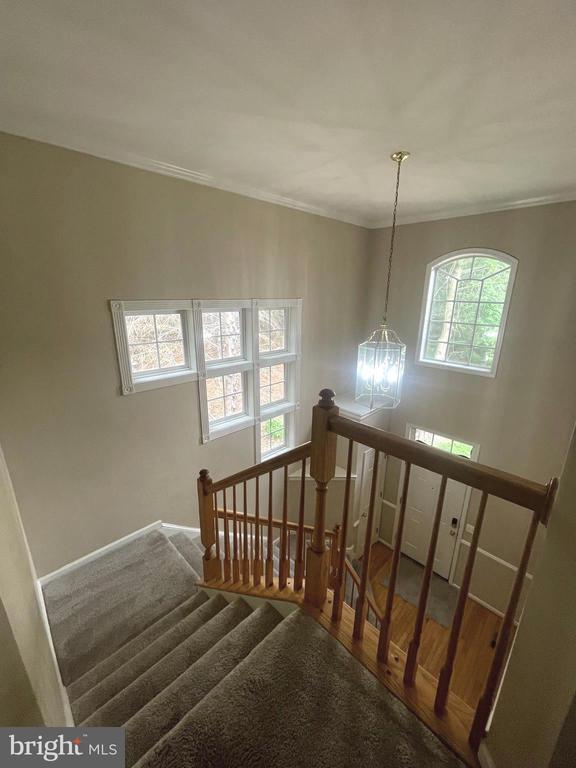 Foto principal - 8840 Bennington Blvd