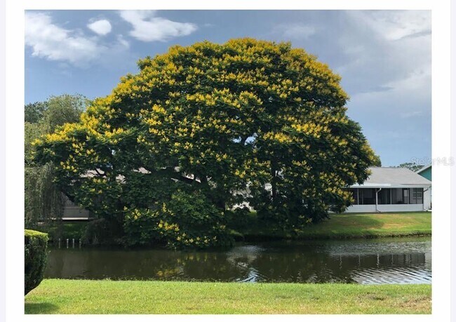 Foto del edificio - 3839 Lighthouse Way