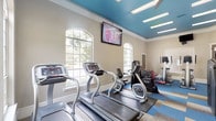 This fitness center offers a spacious, thoughtfully designed workout environment suitable for a wide range of exercise routines. The room's most distinctive architectural feature is its bold teal ceiling, accented by white crown molding that creates a clean contrast against the neutral beige walls. Recessed panel lighting and ceiling fans are evenly distributed overhead, ensuring consistent illumination and airflow throughout the space.

Large arched windows line the walls, allowing abundant natural light to flood the interior while offering views of the surrounding greenery. French-style glass doors provide additional access points and further enhance the connection to the outdoors.

The fitness center is divided into dedicated cardio and strength training zones. The cardio area is equipped with multiple treadmills, upright and recumbent stationary bikes, and stair-climbing machines, all positioned to face wall-mounted flat-screen televisions. The strength training zone features a comprehensive selection of weight machines with red and black upholstery, arranged to allow comfortable movement between stations.

The flooring consists of a patterned tile carpet in blue, tan, and gray tones, with rubber mats placed beneath cardio equipment for added stability. The overall ambiance is bright, energetic, and well-organized, creating a functional and inviting environment for daily fitness activity.