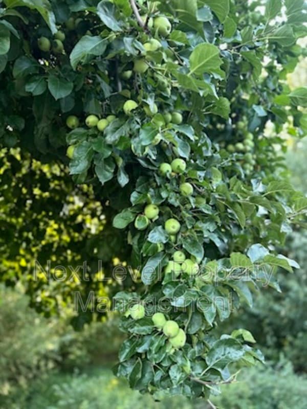 Foto del edificio - 2115 U.S. Hwy 2 E