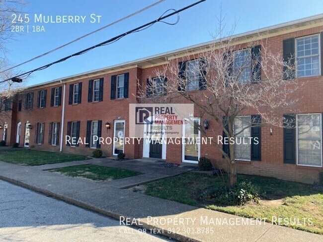 Foto del edificio - 245 Mulberry St