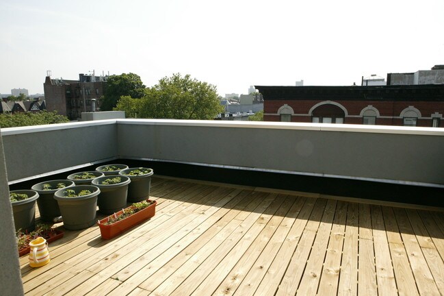 Private rooftop deck - 373-377 Franklin Ave