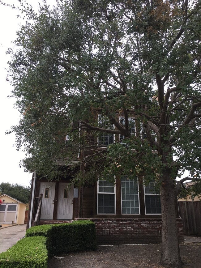 Front view - 551 59th St Apartments