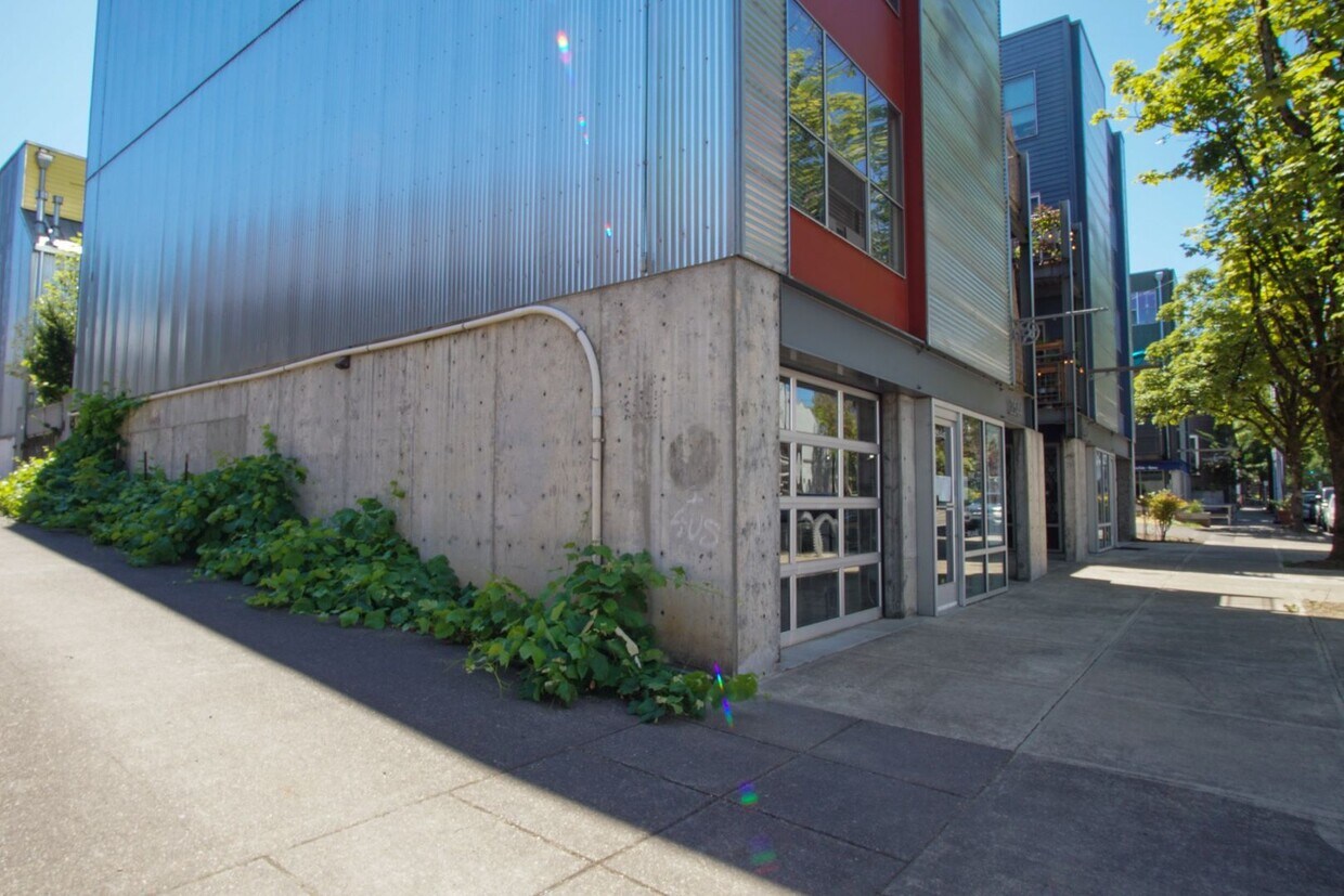 Primary Photo - Spacious & Bright Modern Studio w/Fireplac...