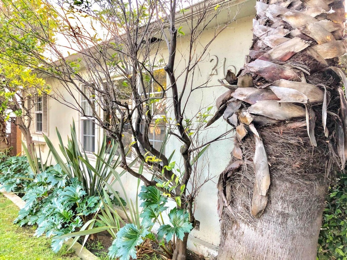 Foto principal - 2850 Ocean Park Blvd