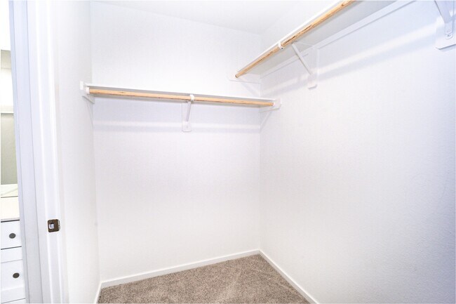 Building Photo - 5610 Shelford Birch Dr
