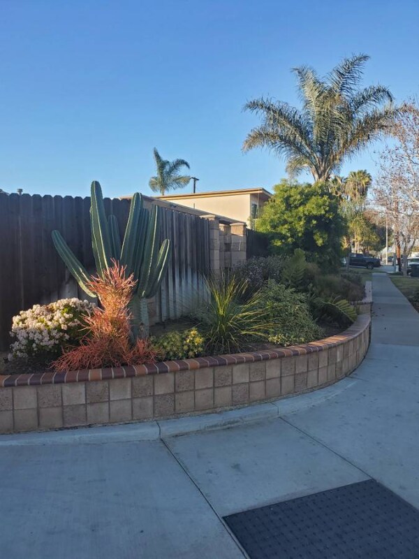 708 Weelo Dr, Costa Mesa, CA 92627 Apartment for Rent in Costa Mesa