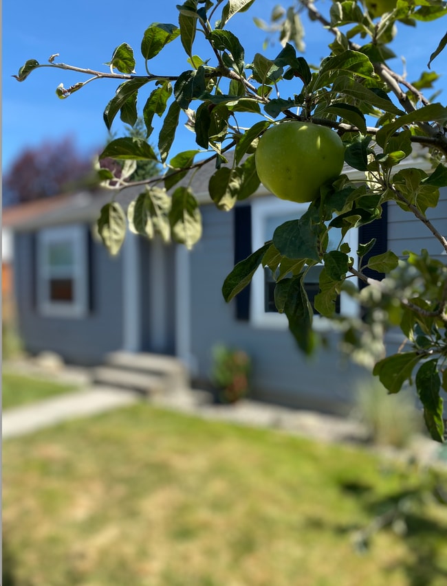 Photo - Highland Park House