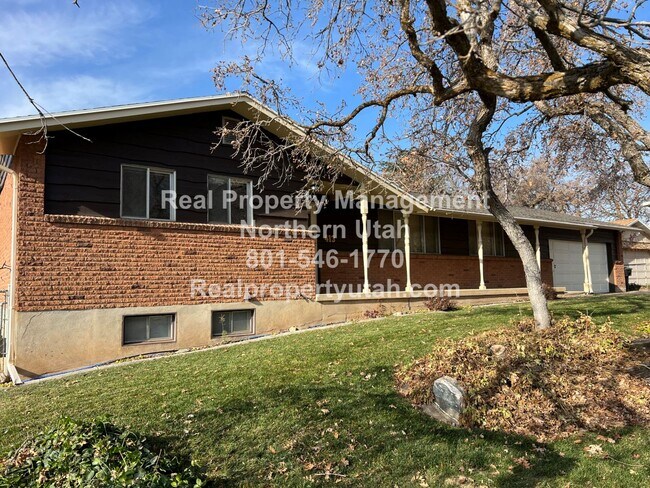 Building Photo - Beautiful 4 Bedroom 2 Bath Home in Fruit H...
