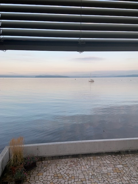 View of backyard from yard - 7117 Beach Dr SW