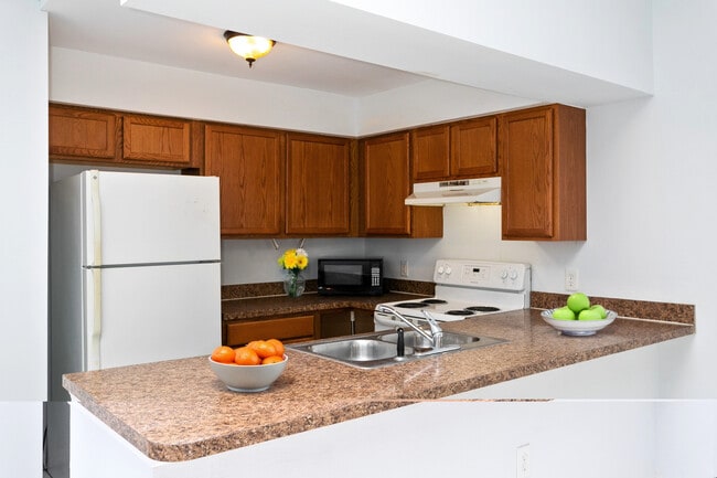 Building Photo - 636 Royalty Ct