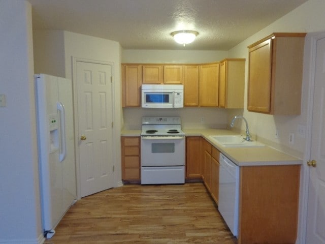 Building Photo - 651 Saddlebrook Dr