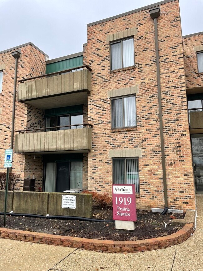1919 Prairie Square Unit 306, Schaumburg, IL 60173 Condo for Rent in