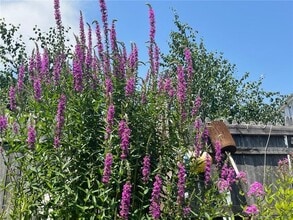 Building Photo - 558 Connecticut Ave