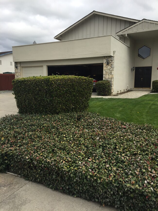 Building Photo - 1631 Harlan Dr