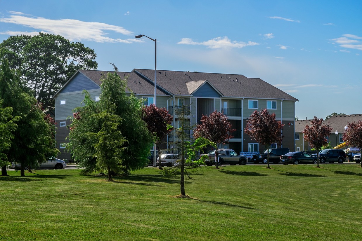 Primary Photo - Oak Trace Apartments