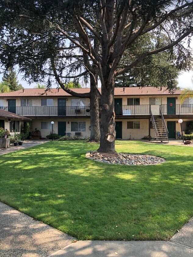 Primary Photo - Lower level one bedroom apartment for rent...