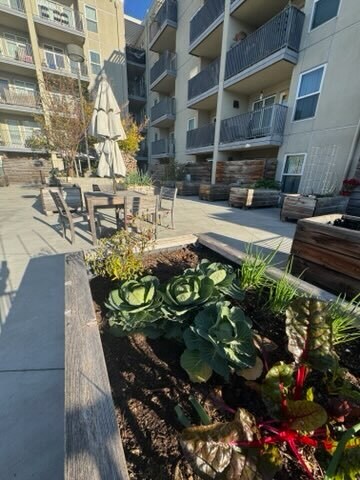 Foto del edificio - Japantown Senior Apartments