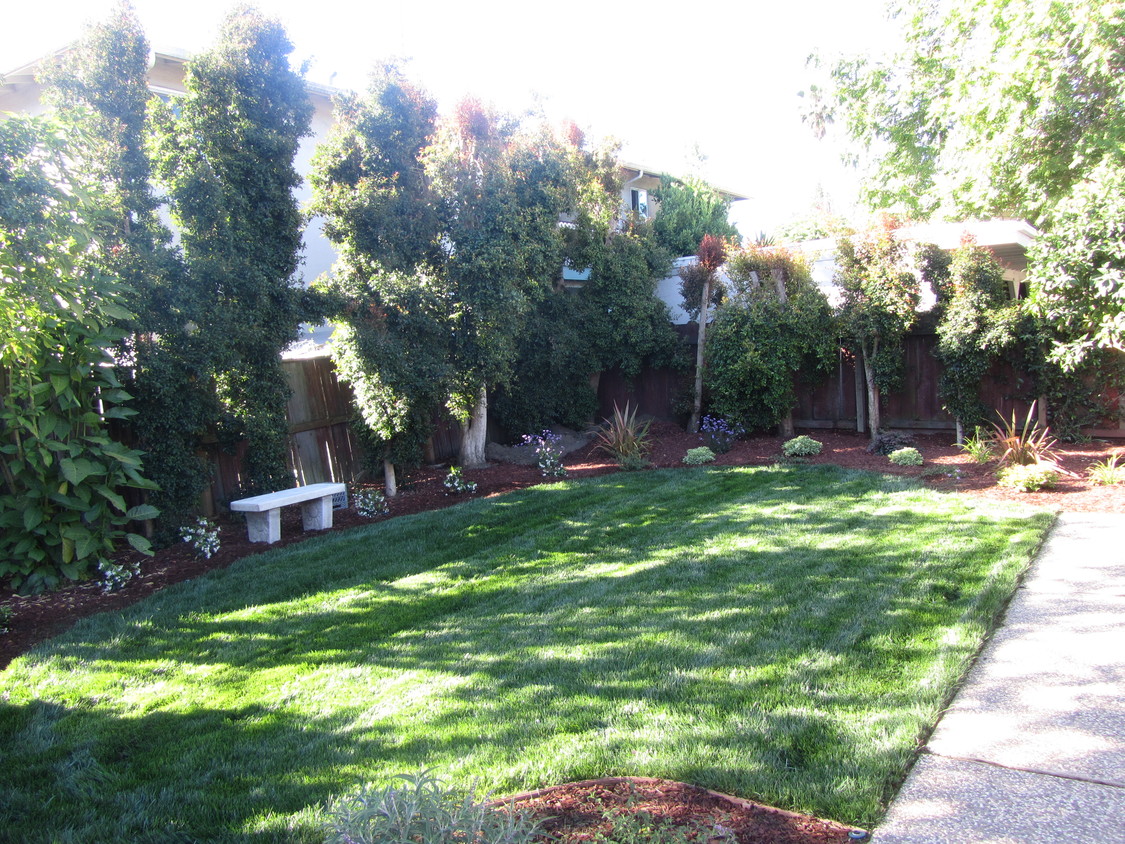 Foto principal - 243 Higdon Ave