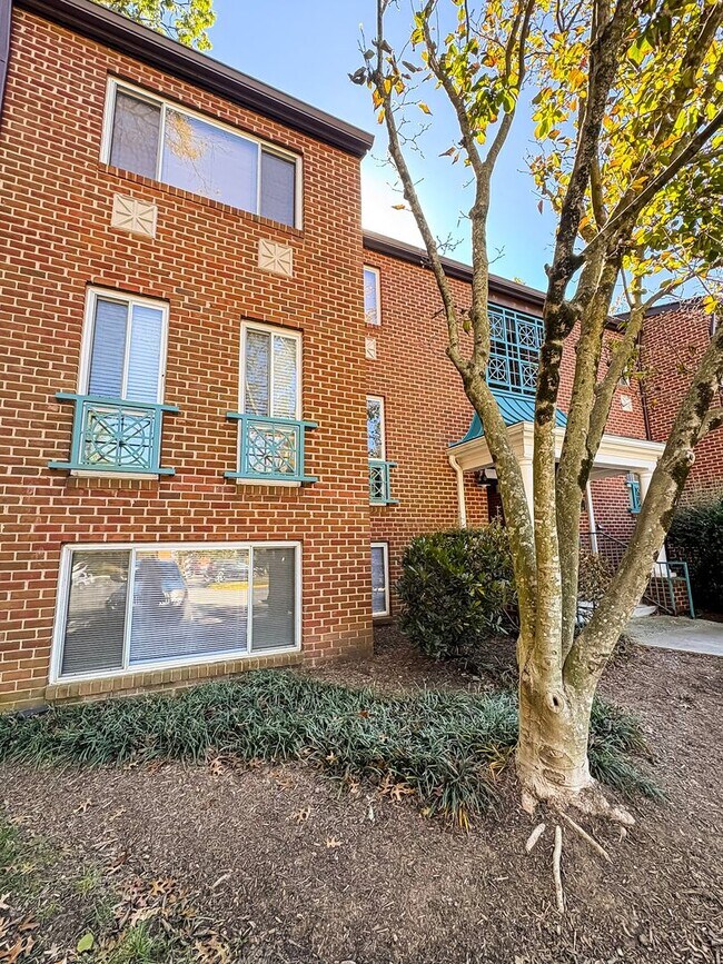 Building Photo - Bright And Cozy 2 Bed 1 Bath Condo With Pa...