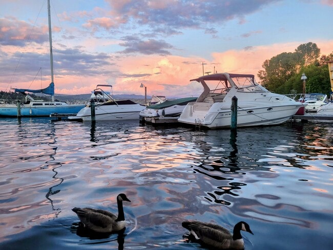 Photo - 9500 Rainier Ave S Apartment