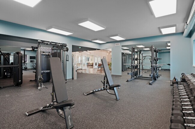 Gimnasio - The Corridor