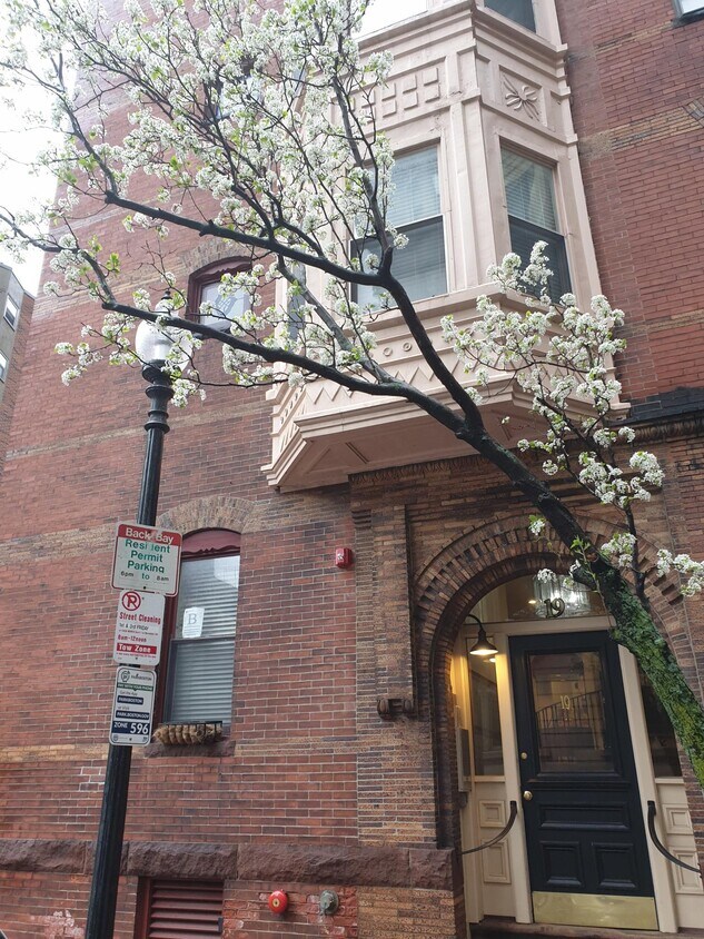 19 Garrison St, Boston, MA 02116 - 19 Garrison St Boston, MA 02116 ...