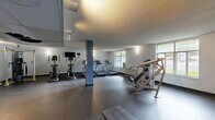 Located at 2098 Sixth Ave in Troy, NY, this fitness center offers a well-equipped, single-floor exercise space with a practical and functional layout. The room features durable rubber flooring throughout, providing a safe and stable surface for a variety of workout activities. A textured ceiling with track lighting illuminates the space effectively, complemented by wall-mounted sconce lights that contribute to an evenly lit environment.

The cardio section is equipped with multiple treadmills and elliptical machines, all positioned to take advantage of the large windows along one wall, which allow ample natural light and exterior views. A wall-mounted television is conveniently positioned for use during cardio sessions. On the strength training side, the facility includes a Hoist functional trainer cable machine, a leg press unit, and a dumbbell rack with a full range of free weights, accompanied by an adjustable bench. Full-length mirrors are mounted along one wall, enhancing the sense of space and supporting proper form during workouts.

A structural column is centrally located within the room, defining the layout into distinct workout zones. The facility is accessed through a glass-panel door, adding a clean, modern touch to the entrance. Overall, the space is designed to support a comprehensive fitness routine in a straightforward, no-frills environment.