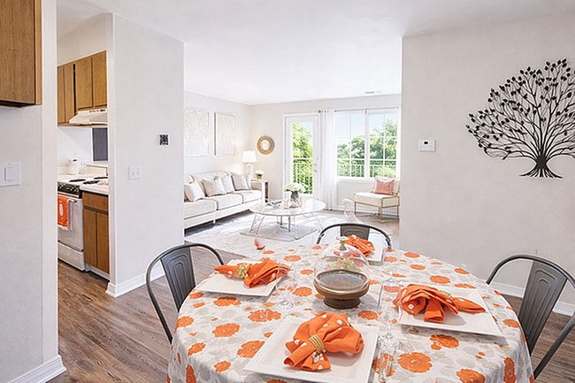 Central Park Place Kitchen and Living Area - Central Park Place