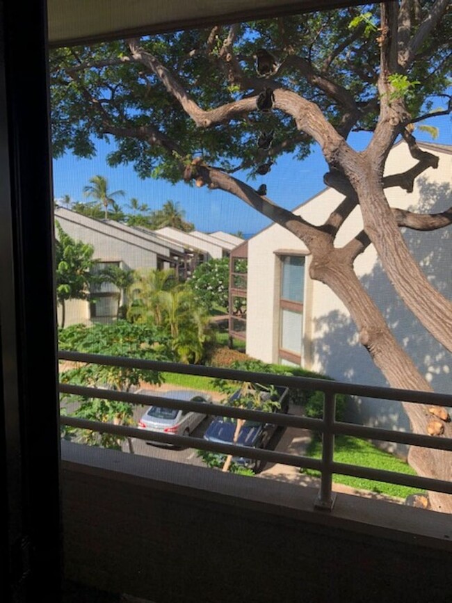 Building Photo - Furnished 2 Bedroom 2 Bathroom Kihei Shore...