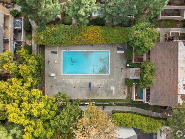 Swimming Pool - Woodsborough