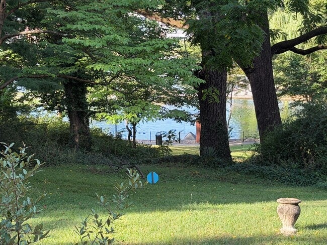 Foto del edificio - Cottage at Spring Lake!