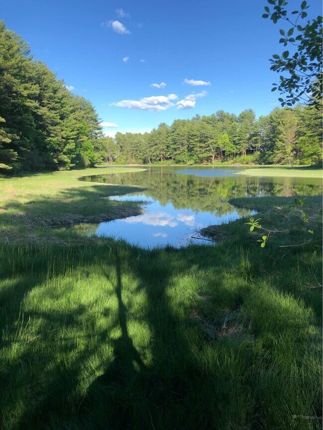 Creek Back - 226 State Rd