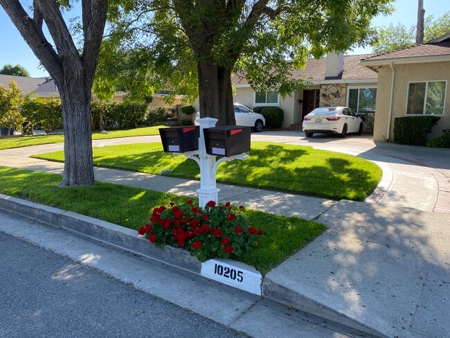 Front Yard - 10207 Louise Ave