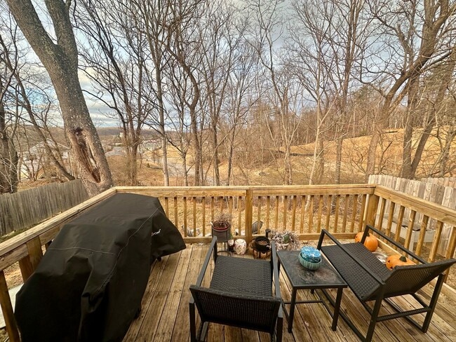 Foto del edificio - Charming Home in Radford