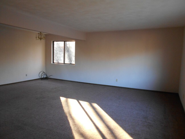 Living Room - 19 Nottingham Ln