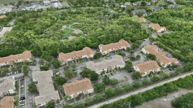  - Goldelm at Braden River