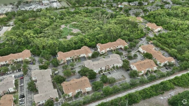 - Goldelm at Braden River