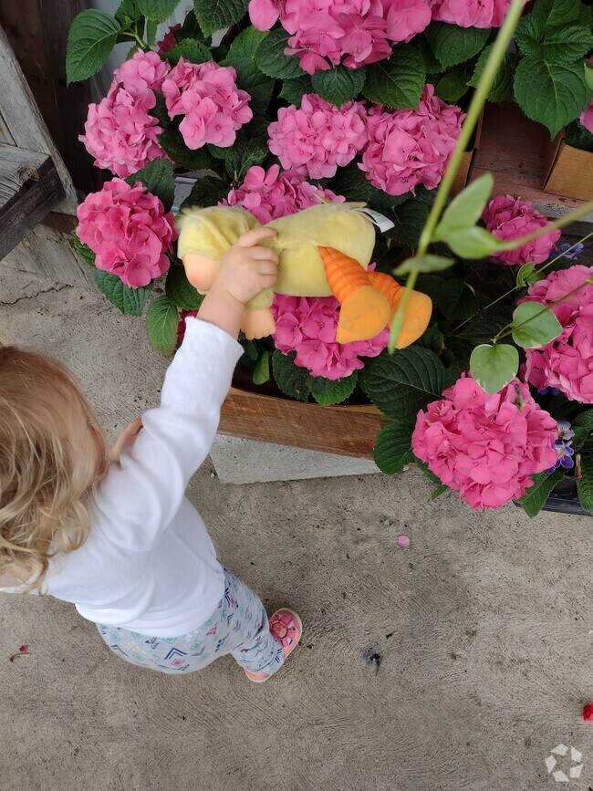 Apartments For Rent in Beaver Springs PA with Garages 3 Rentals