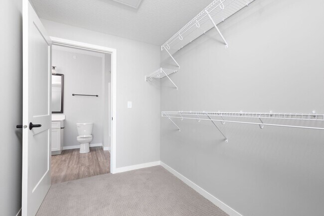 Interior Photo - Caliper