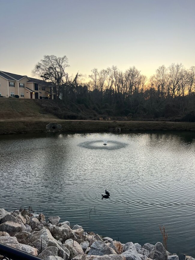 Building Photo - Ground Floor 3BR Condo at Longleaf Villas