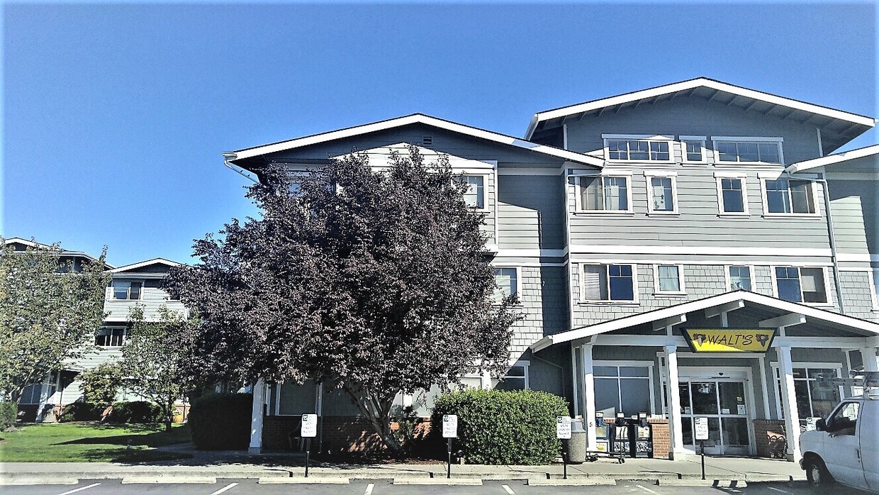 Lynwood Commons Apartments Bainbridge Island, WA