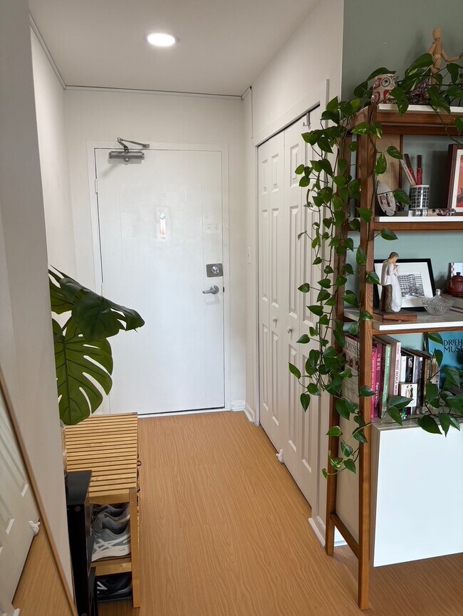entrance and coat closet - 4977 Battery Ln