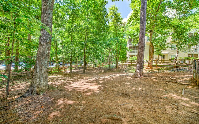 Foto del edificio - MAA Duke Forest