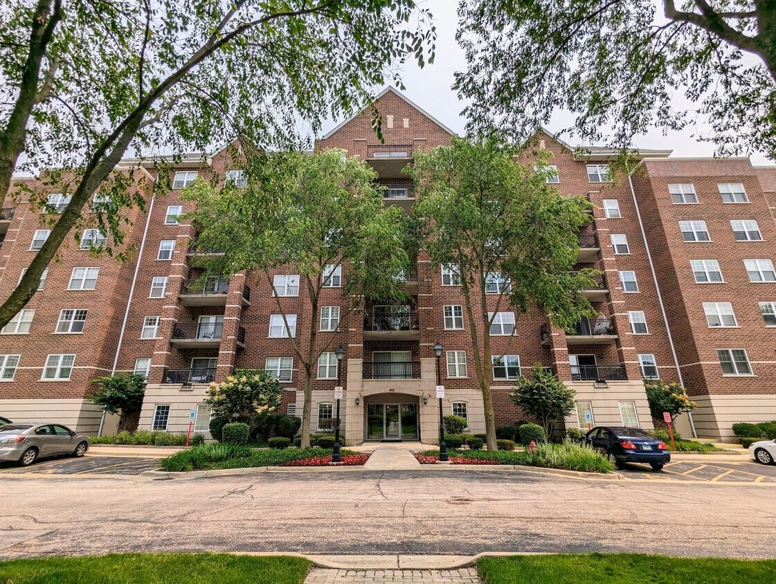410 W Mahogany Ct Unit 203, Palatine, IL 60067 Condo for Rent in