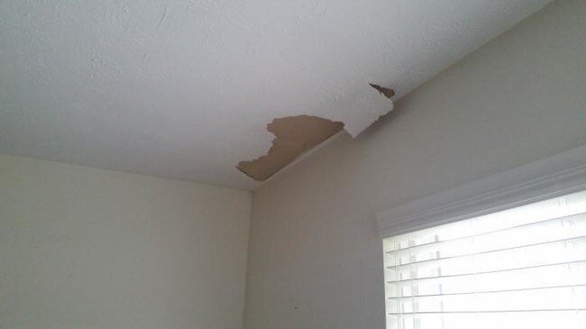Foto del edificio - 3 bedroom in Louisville KY 40210