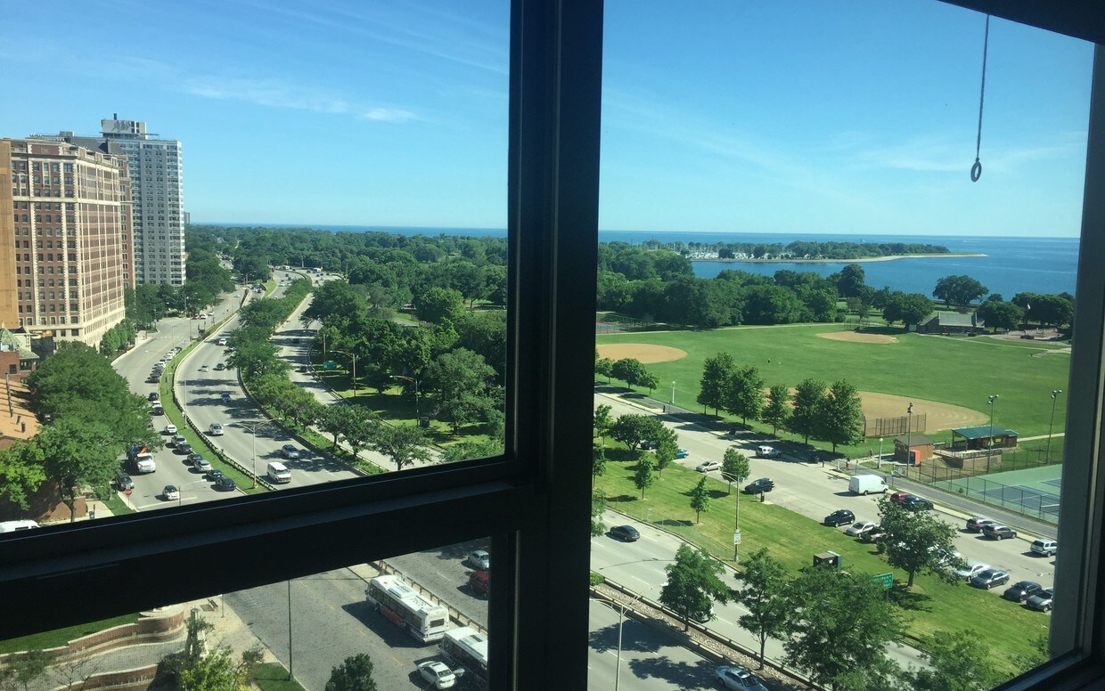 3600 N Lake Shore Dr, Chicago, IL 60613 Condo for Rent in Chicago, IL