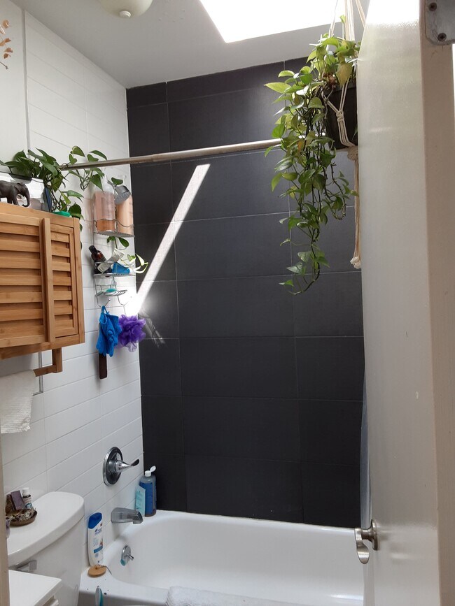 Bath - 255 Lexington Ave