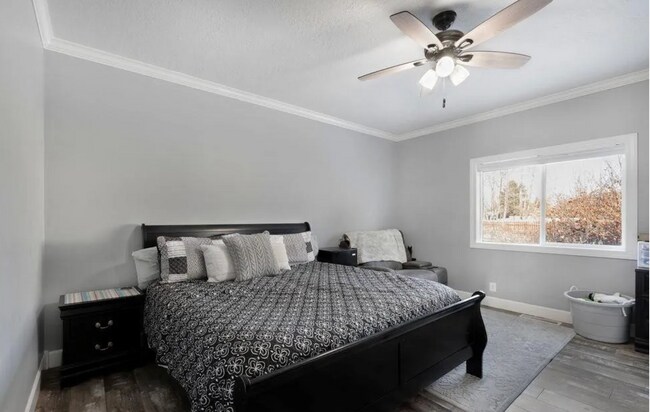 Building Photo - 304 Palomino Dr